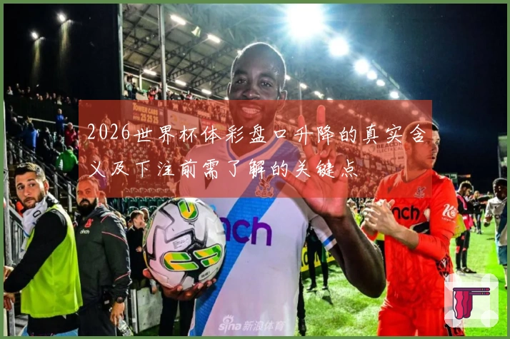 2026世界杯体彩盘口升降的真实含义及下注前需了解的关键点