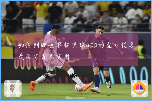 如何判断世界杯买球app的盘口信息是否可靠及实用