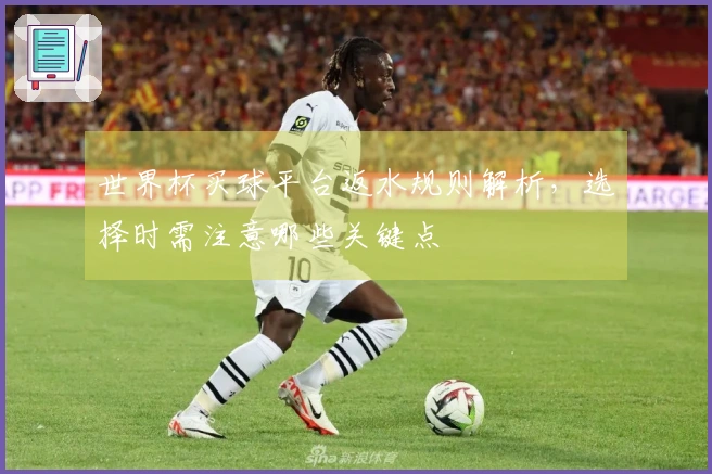 世界杯买球平台返水规则解析，选择时需注意哪些关键点