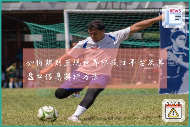 如何辨别正规世界杯投注平台及其盘口信息解析方法