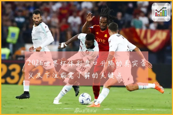 2026世界杯体彩盘口升降的真实含义及下注前需了解的关键点